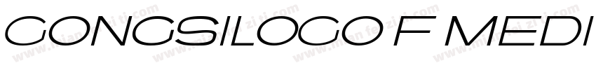 GongSiLOGO F Medium字体转换